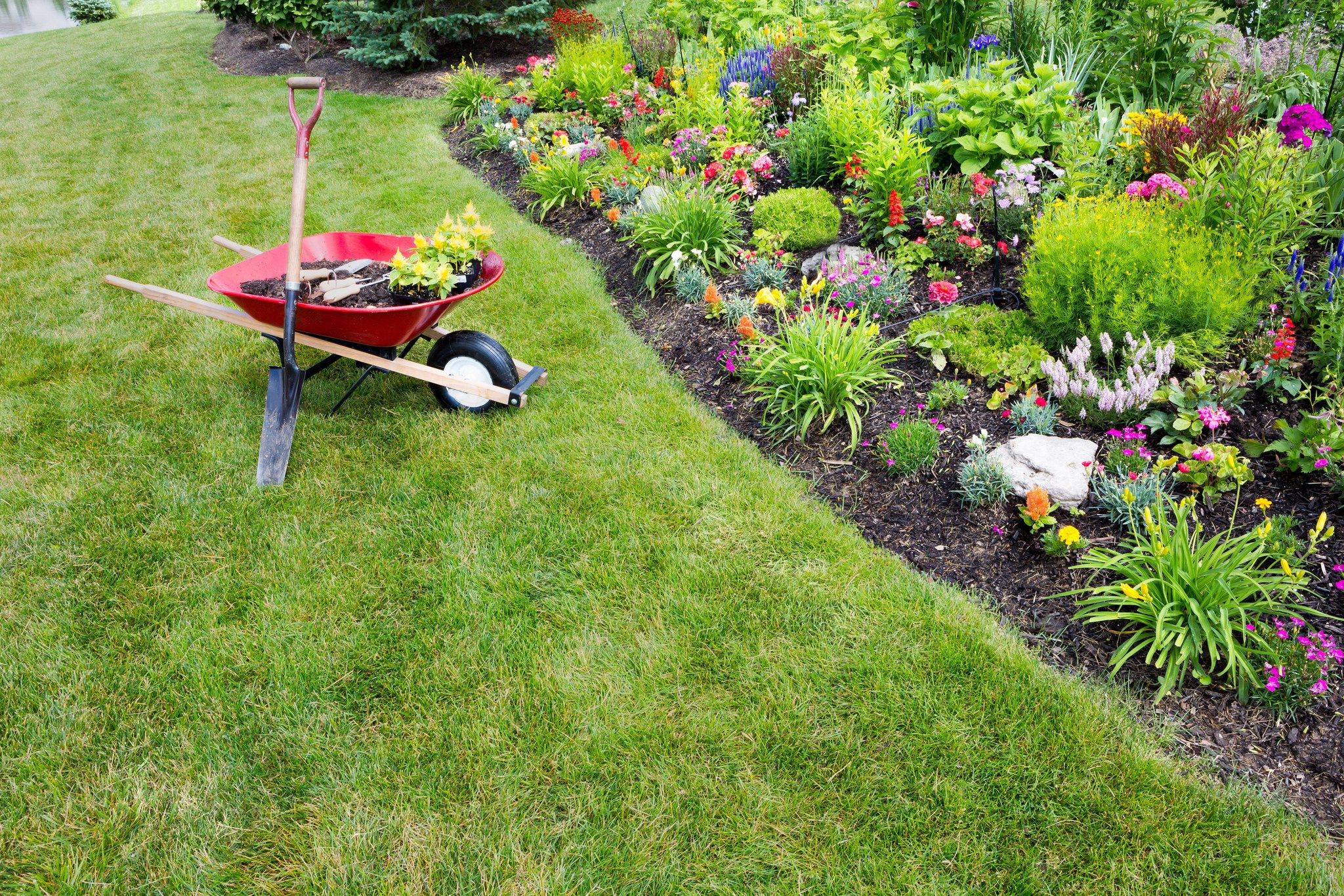 Gardening and landscaping